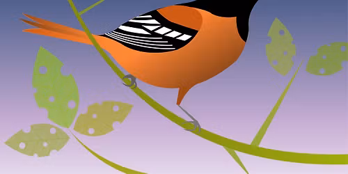 First Saturday Bird Walk