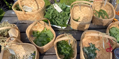 Vilde spiselige urter - Sanketur med udeliv med indlevelse