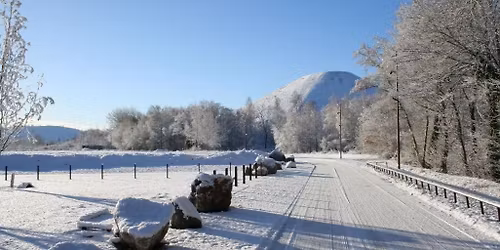 Marche de Noel \u00e0 Oignies