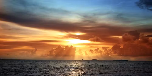 District 7 Masquerade Ball