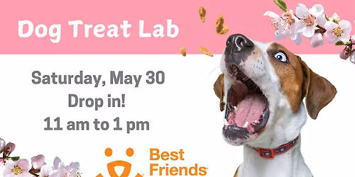 Dog Treat Lab