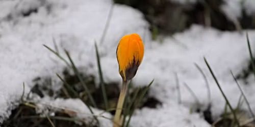 \u00c5rsm\u00f6te Norrk\u00f6ping,  Astma- och Allergif\u00f6reningen