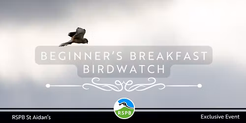 Beginner's Breakfast Birdwatch- RSPB St Aidan's