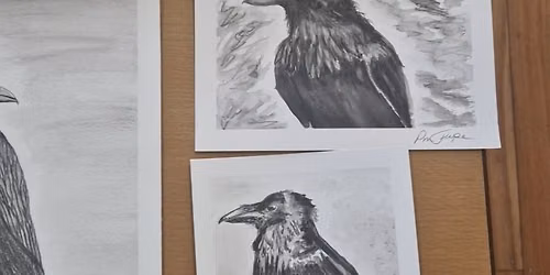 Learn to Draw Ravens
