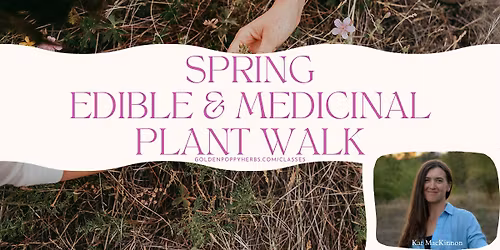 Spring Edible & Medicinal Plants Walk with Herbalist & Botanist KatMacKinnon @Kat_The_Herbalist