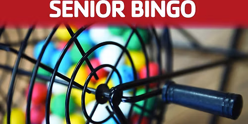 Senior Bingo