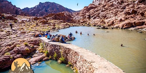 \u0648\u062f\u064a\u0627\u0646 \u0643\u0627\u062a\u0631\u064a\u0646 \u0627\u0644\u0633\u0627\u062d\u0631\u0629 20