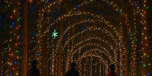 Equine Festival of Lights