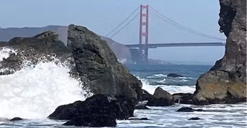 Lands End & Sutro Heights Park Hike (First Hike of the New Year) Dogs Welcome