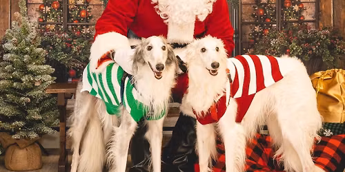 Paws & Claus (Free pet pic w/ Santa)