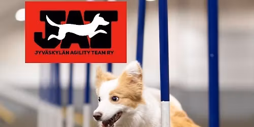 Marko Kivihalmeen agilityvalmennus