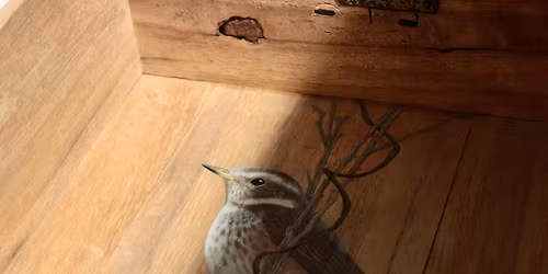 Japan + UK Crafts Galore by Two Persimmons