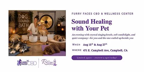 Sound healing with your pet
