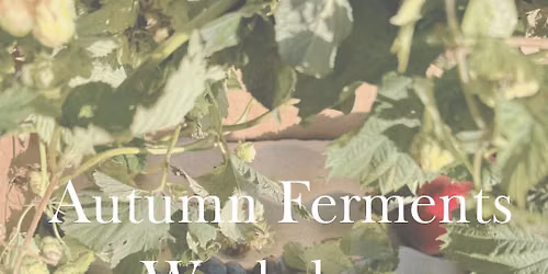 Autumn fermented chutney workshop & fermented soda drink (seasonal wild & cultivated) 