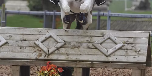 KATH PININGTON SOMERFORD PARK CLINIC WOODSIDE ARENA 