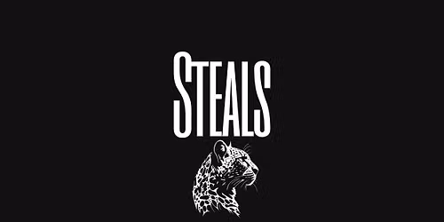The Steals at Duck Dive