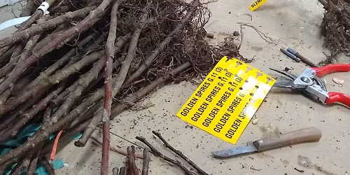 Grafting Class March 8th- Ithaca