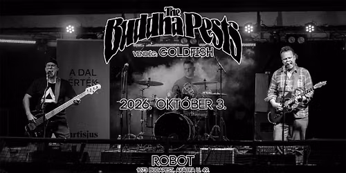 The Buddha Pests x Goldfish \u2022 ROBOT \/\/ Ingyenes