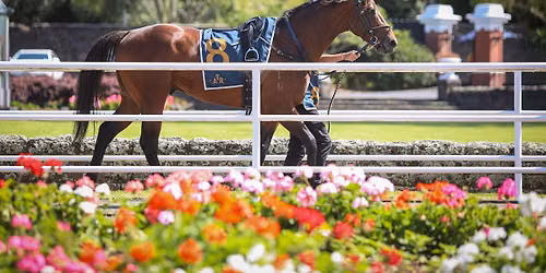 Everest Raceday