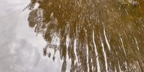 Elve-b\u00f8nn- s\u00f8rgemarkering for Oslofjorden