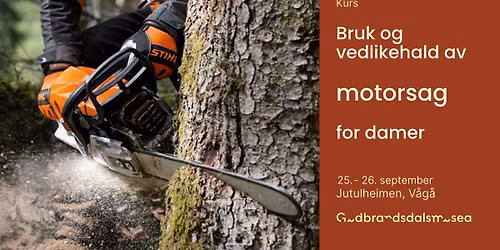 Motorsag-kurs for damer