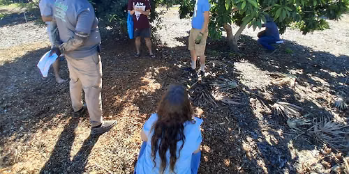 Fruit Tree Paradise Workshop