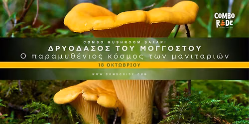 \ud83c\udf44 Combo Mushroom Safari \ud83c\udf33 \u0394\u03a1\u03a5\u039f\u0394\u0391\u03a3\u039f\u03a3 \u03a4\u039f\u03a5 \u039c\u039f\u0393\u0393\u039f\u03a3\u03a4\u039f\u03a5