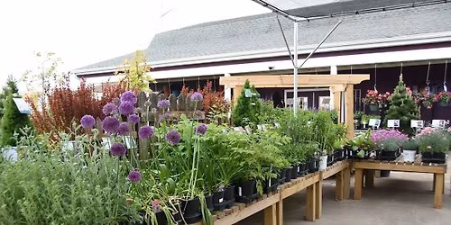 What's Blooming at Schmalz