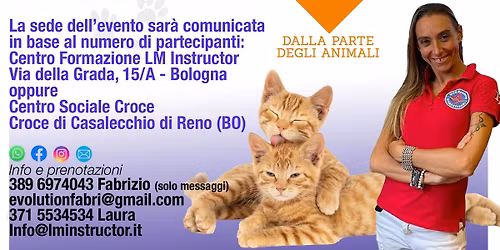 Corso PRIMO SOCCORSO GATTI - CAT FIRST AID