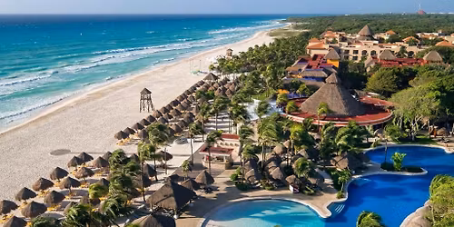 Cenotes, Bull Sharks, and Reefs, OH MY! 