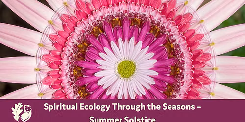 Spiritual Ecology Through the Seasons \u2013 Summer Solstice