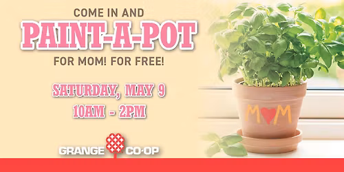 Paint-A-Pot Yuba City Grange Co-op