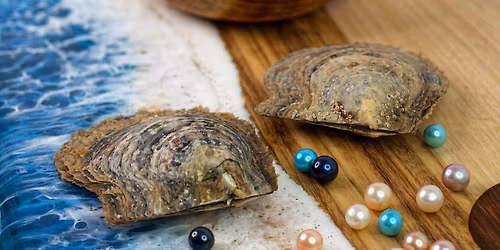 Oyster Opening Pearl Party at McCoy Minerals