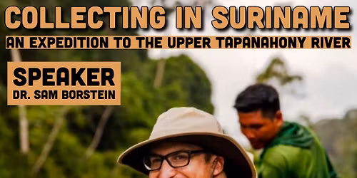 FMAS August Meeting: Collecting in Suriname