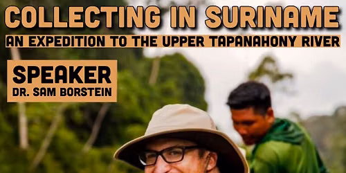 FMAS August Meeting: Collecting in Suriname