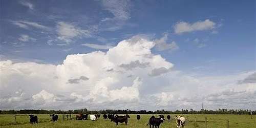 Grazing Management School