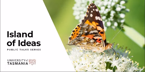 Understanding the Insect Apocalypse in Launceston