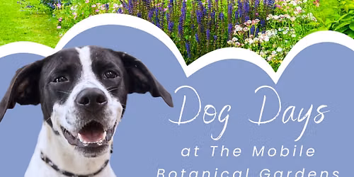 Dog Days Adoption Event