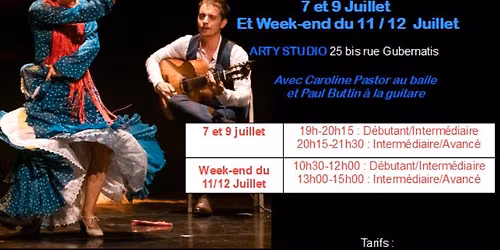 Flamenco \u00e0 NICE: stage d'\u00e9t\u00e9 !