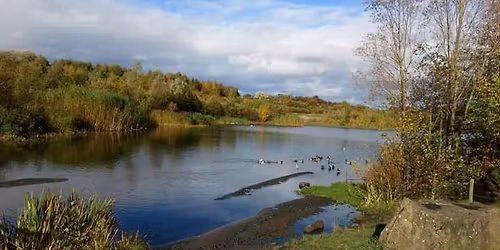 Watergate Wombles Litter Pick