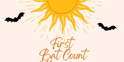First Bat Count of the Summer!