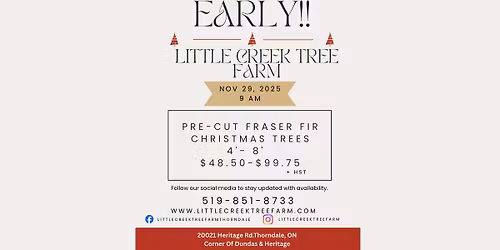 Pre cut Fraser Fir Christmas trees!!!