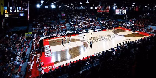 Liberty Flames Women's Basketball vs. Jacksonville State Gamecocks