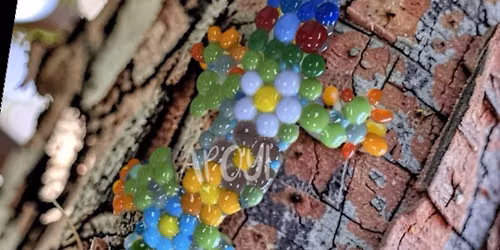 Colorful Fused Glass Gecko Class