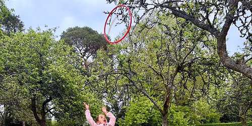 Summer of Play at Upton House and Gardens