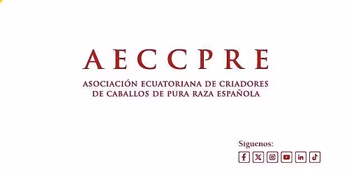 IV Concurso Criadores de Caballos Pura Raza Espa\u00f1ola - Copa KIA