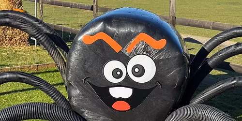 Halloween Party at Nunny's Farm