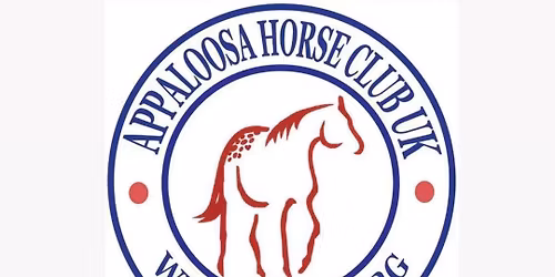 ApHC UK National Show 2026