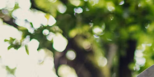 Gather at the Heartfire : Drumming Circle & Cacao Ceremony