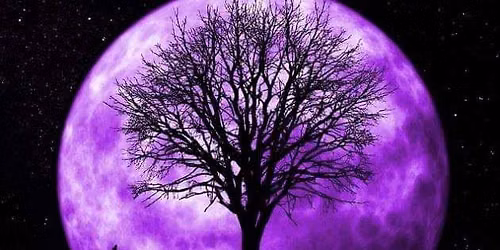 Psychic Show With Michael Washington Brown ,Sun 5Juny@The White Hart Inn Cinderford. \u00a37 at the door